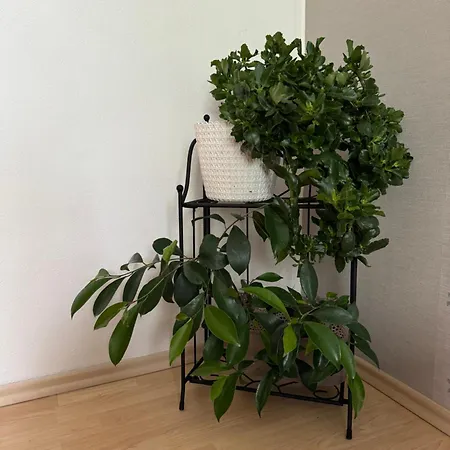 Rodinne Familia * Bojnice