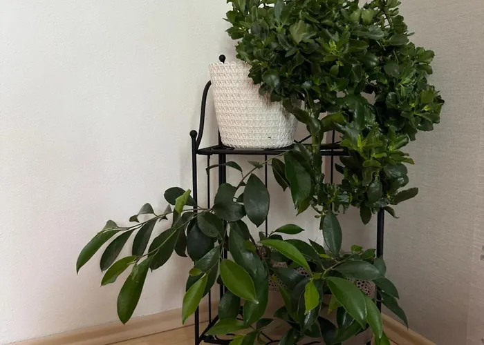 Rodinne Familia * Bojnice